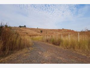 Terreno en Venta en Los Tepetates Zapotlanejo