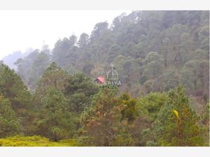 Terreno en Venta en La Joya Orizaba