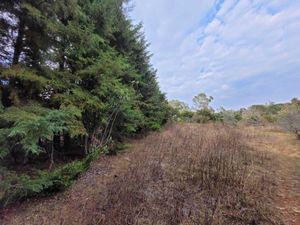 Terreno en Venta en Pontezuelas Charo