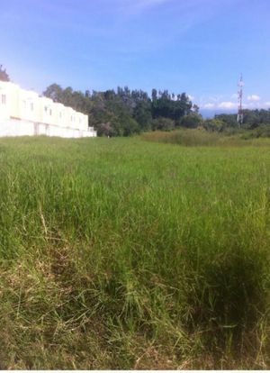 Terreno de 7,925 m2 en Jiutepec Centro; Morelos. Cod. 181