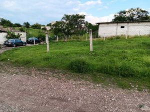 Terreno rustico de 285 m2 en Yecapixtla, Morelos. Cod. 238