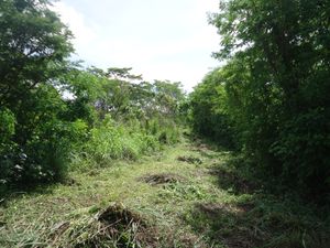 Venta de terreno en el pueblo mágico de Berriozábal Chiapas, en la colonia Santa