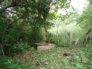 Venta de Rancho, en la Col. Nueva Francia, municipio de Jiquipilas Chiapas, 26 H