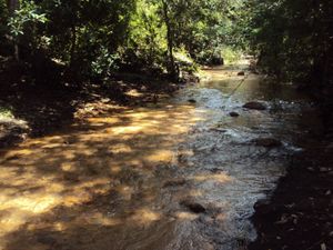 Venta de Rancho “El Calvario”, Jiquipilas Chiapas, 170 Hectáreas.