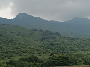 Venta de Rancho en , Cintalapa Chiapas, col. Rosendo Salazar, 250 Hectáreas.