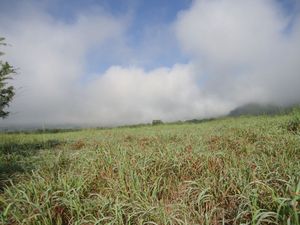 Venta de Rancho, en la Col. Nueva Francia, municipio de Jiquipilas Chiapas, 26 H