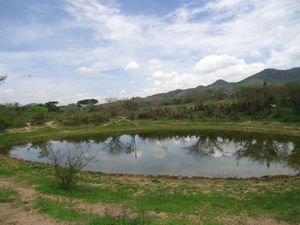 Venta de Rancho  en Jiquipilas Chiapas, 84 Hectáreas.