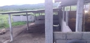 Venta de Rancho “San Antonio”, en el poblado de Abelardo R., Cintalapa Chis.