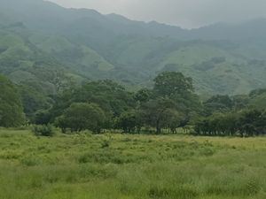 Venta de Rancho en , Cintalapa Chiapas, col. Rosendo Salazar, 250 Hectáreas.