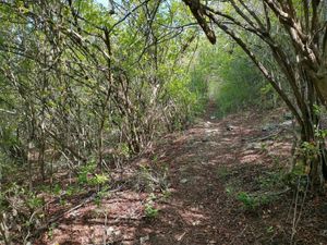 Venta de terreno en  Plan de Ayala a un costado del balneario San Agustín