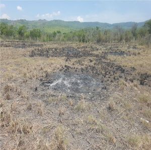 VENTA DE TERRENO en las Flechas