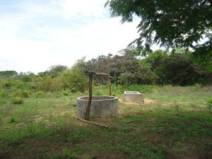 Venta de Rancho  en Jiquipilas Chiapas, 84 Hectáreas.