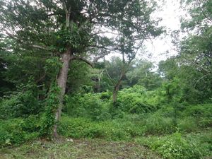 Venta de Rancho, en la Col. Nueva Francia, municipio de Jiquipilas Chiapas