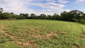 Venta de Rancho en  Cintalapa Chiapas, 72.6 Hectáreas.