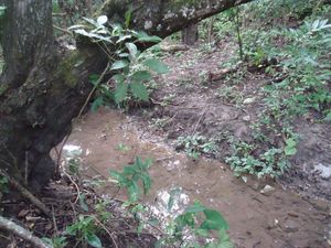 Venta de Rancho, en la Col. Nueva Francia, municipio de Jiquipilas Chiapas, 26 H