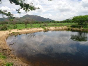 Venta de Rancho  en Jiquipilas Chiapas, 84 Hectáreas.