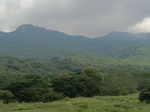 Venta de Rancho en , Cintalapa Chiapas, col. Rosendo Salazar, 250 Hectáreas.