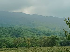 Venta de Rancho en , Cintalapa Chiapas, col. Rosendo Salazar, 250 Hectáreas.