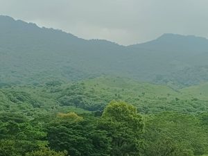 Venta de Rancho en , Cintalapa Chiapas, col. Rosendo Salazar, 250 Hectáreas.