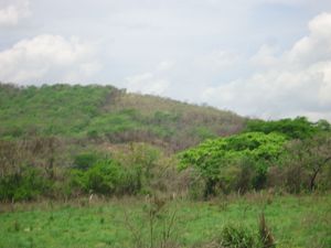 Venta de Rancho  en Jiquipilas Chiapas, 84 Hectáreas.