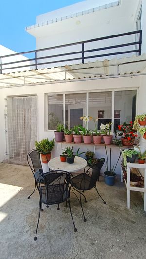 Salón de Eventos en Venta, Barrio de San Diego, San Cristóbal de las Casas, Chia