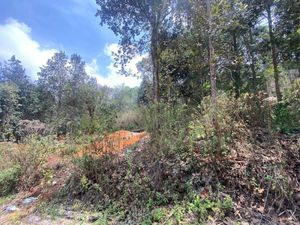 Terreno en Bosques de Niebla San Cristóbal de Las Casas