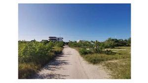 Terreno venta Isla Holbox