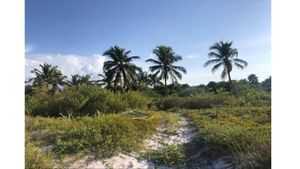 Terreno venta Isla Holbox