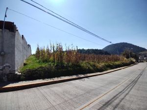 Terreno en Venta en San Juan Tomasquillo Xalatlaco