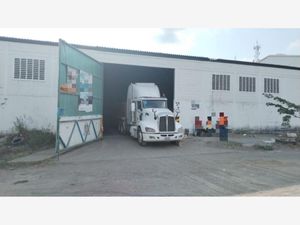 Bodega en Renta en Bruno Pagliai Veracruz