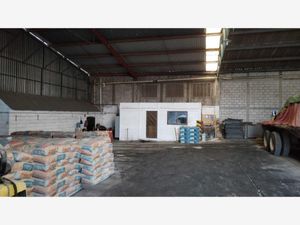 Bodega en Renta en Bruno Pagliai Veracruz