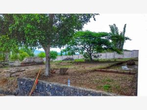 Terreno en Venta en Tres Pasos Emiliano Zapata