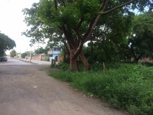 Terreno en Venta en Jamapa Jamapa