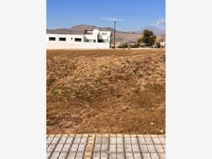 Terreno en Venta en Lomas de Angelópolis II San Andrés Cholula