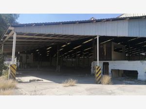 Bodega en Renta en San Juan Ixhuatepec Tlalnepantla de Baz