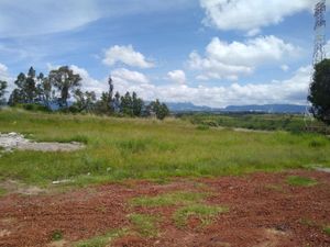 Terreno en Venta en El Abrojo Ixtapan de la Sal