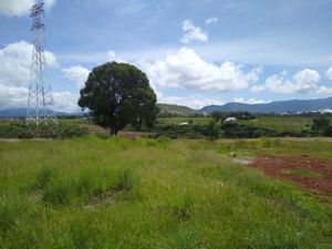 Terreno en Venta en El Abrojo Ixtapan de la Sal