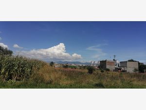 Terreno en Venta en Santa María San Mateo Atenco