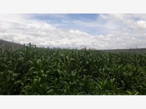 Terreno en Venta en San Miguel Totocuitlapilco Metepec