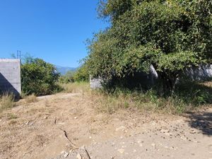 VENTA TERRENO ALLENDE RAICES