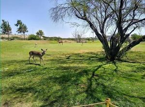 Terreno en Venta en Las Aves Club de Golf