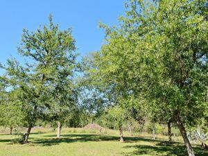 Terreno en Venta en Montemorelos