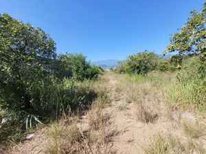 VENTA TERRENO ALLENDE RAICES