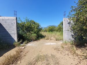 VENTA TERRENO ALLENDE RAICES