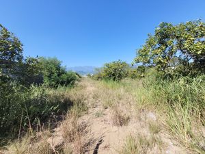 VENTA TERRENO ALLENDE RAICES