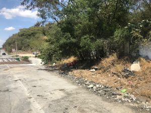 Terreno con frente a Carretera Nacional en Margaritas