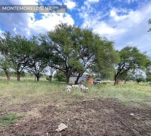 Hermoso Terreno Campestre en Venta en Montemorelos, N.L.