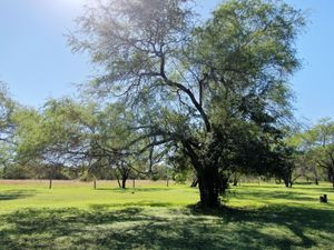 Terreno en Venta en Montemorelos