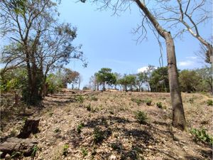 Terreno en Venta en Nueva Palestina Jiquipilas