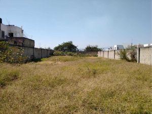 Terreno en Venta en Los Arrozales Jojutla